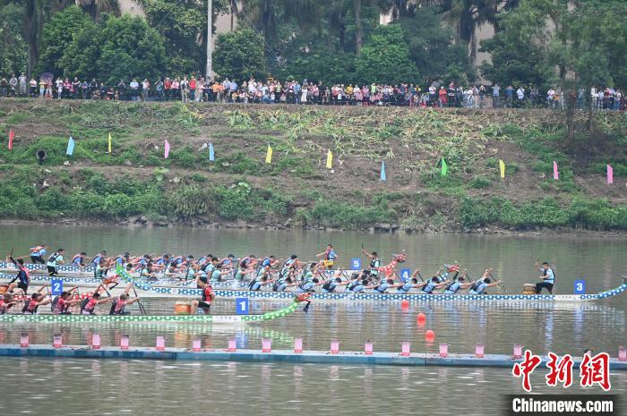 2025粤港澳大湾区龙舟邀请赛在阳山举行：本地组